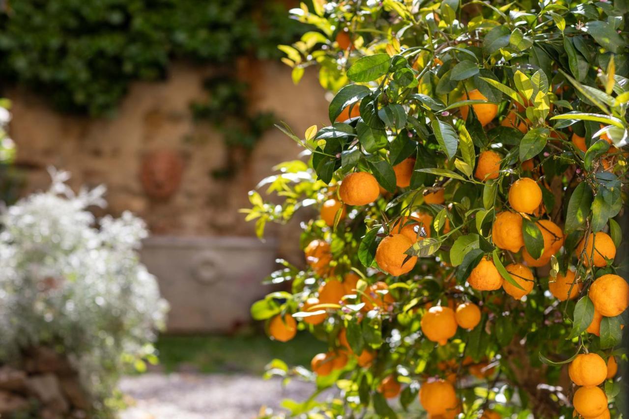 Secret Garden Firenze B&B Εξωτερικό φωτογραφία