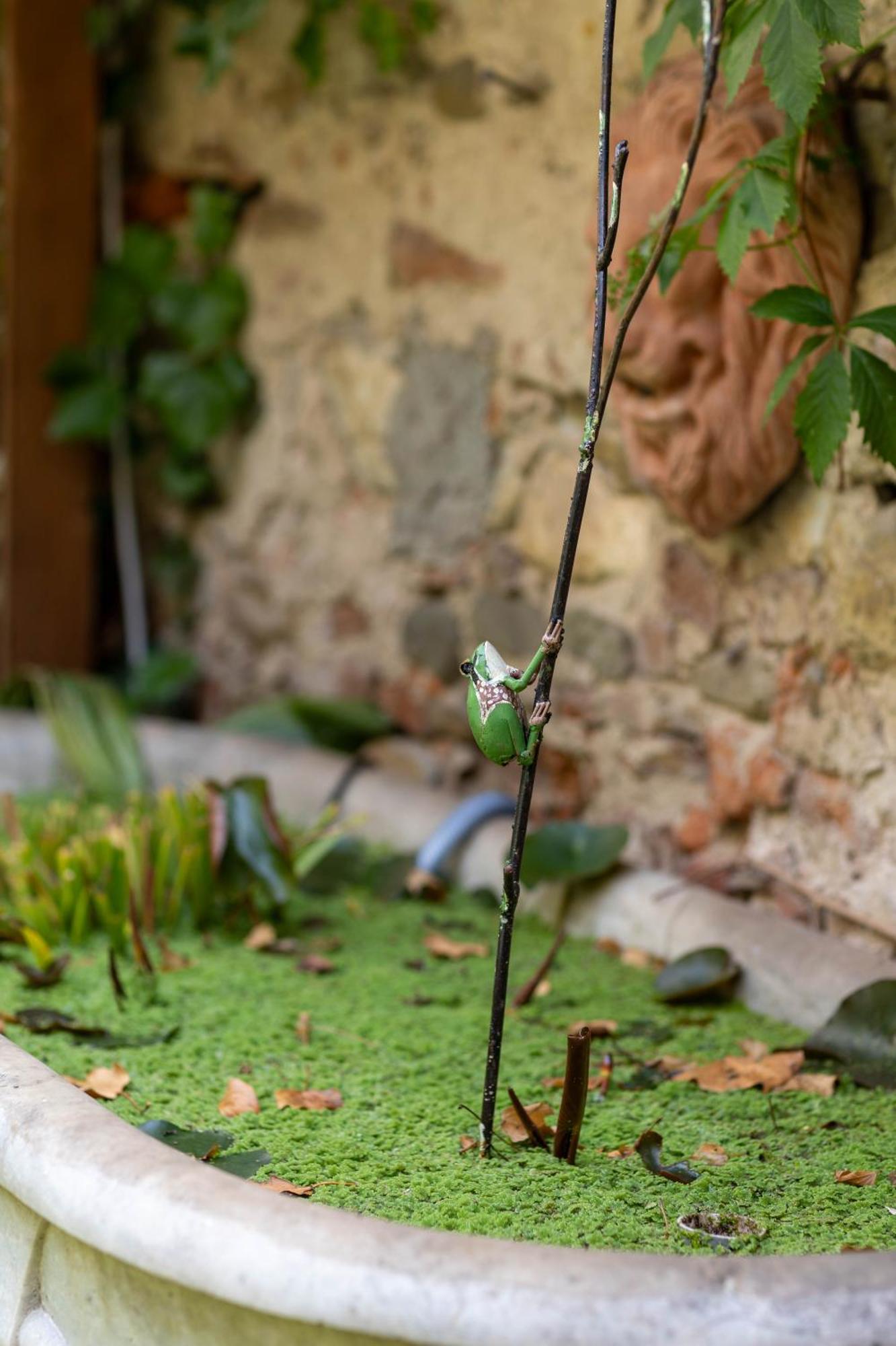 Secret Garden Firenze B&B Εξωτερικό φωτογραφία