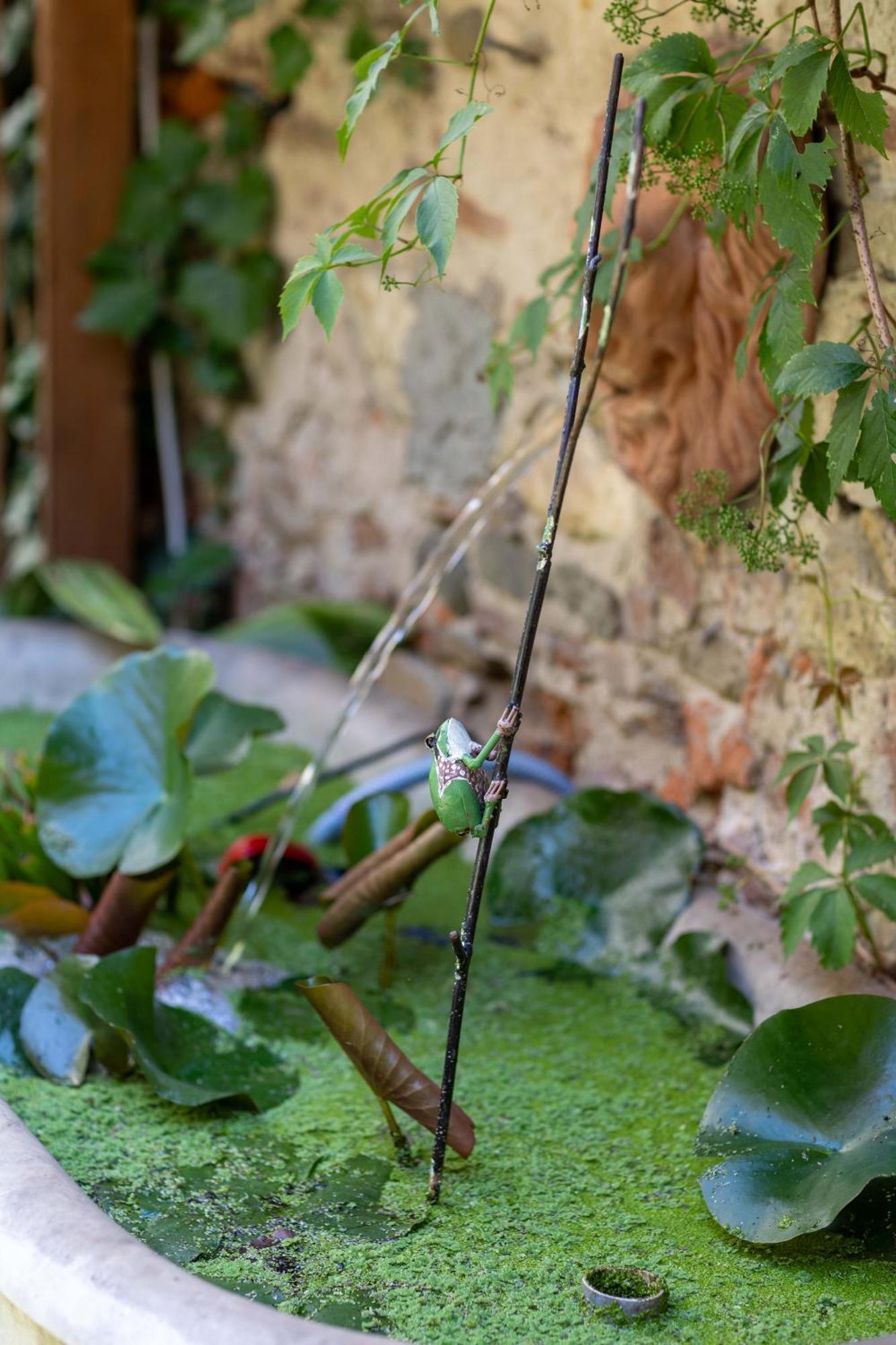 Secret Garden Firenze B&B Εξωτερικό φωτογραφία