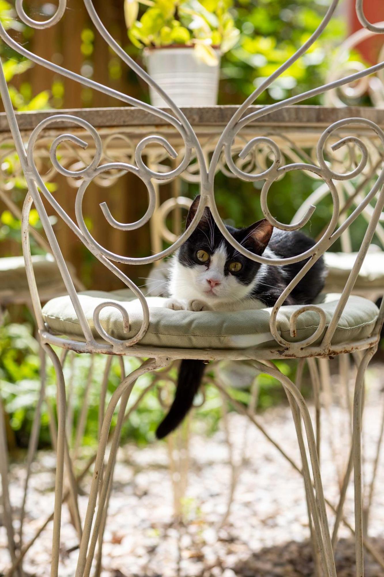 Secret Garden Firenze B&B Εξωτερικό φωτογραφία
